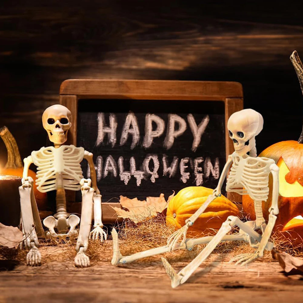Posable Halloween Skeleton 💀
